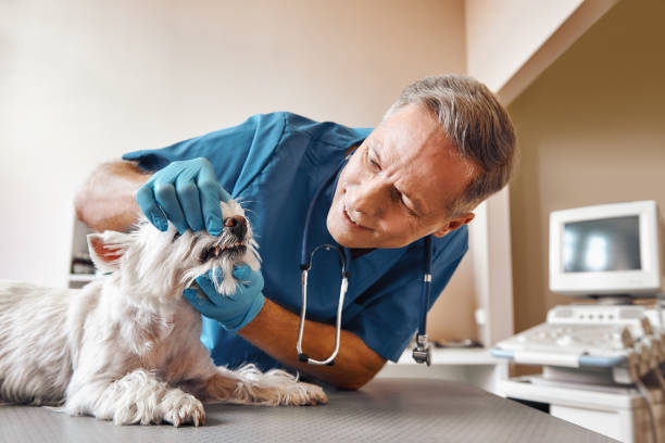 Best Emergency Wisdom Tooth Extraction in Randolph, NE